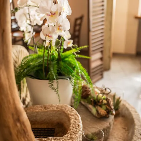 Poncini Inn 3*